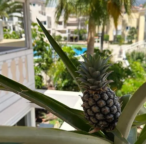 The Blues House Rising Sun